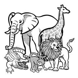 Zoo Coloring Pages