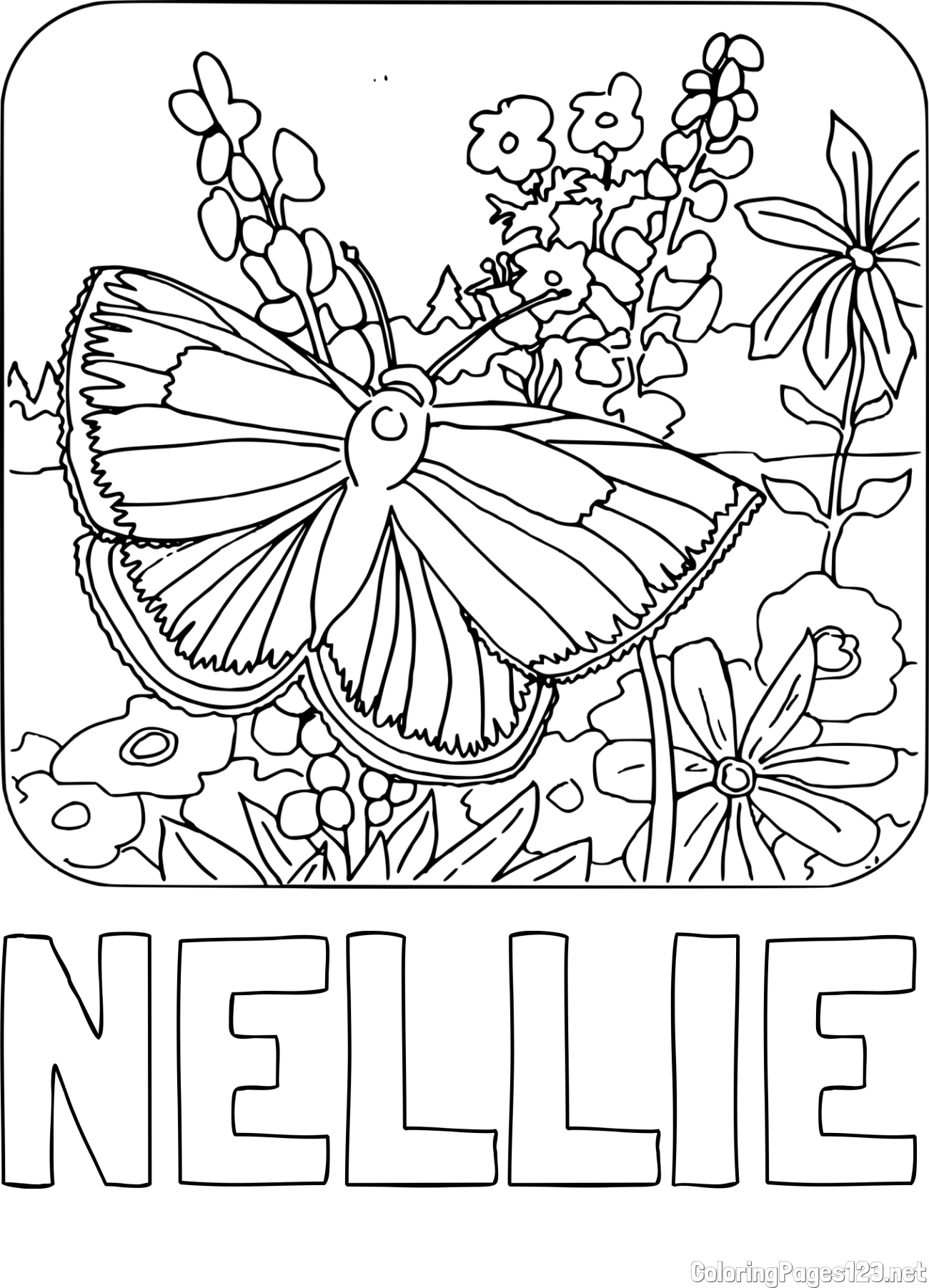NELLIE Coloring Page and Butterfly on Flower Coloring Page