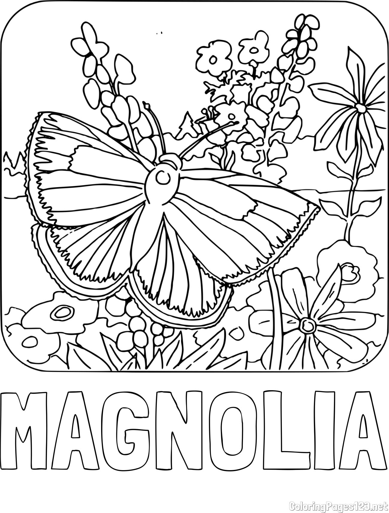 MAGNOLIA Coloring Page and Butterfly on Flower Coloring Page