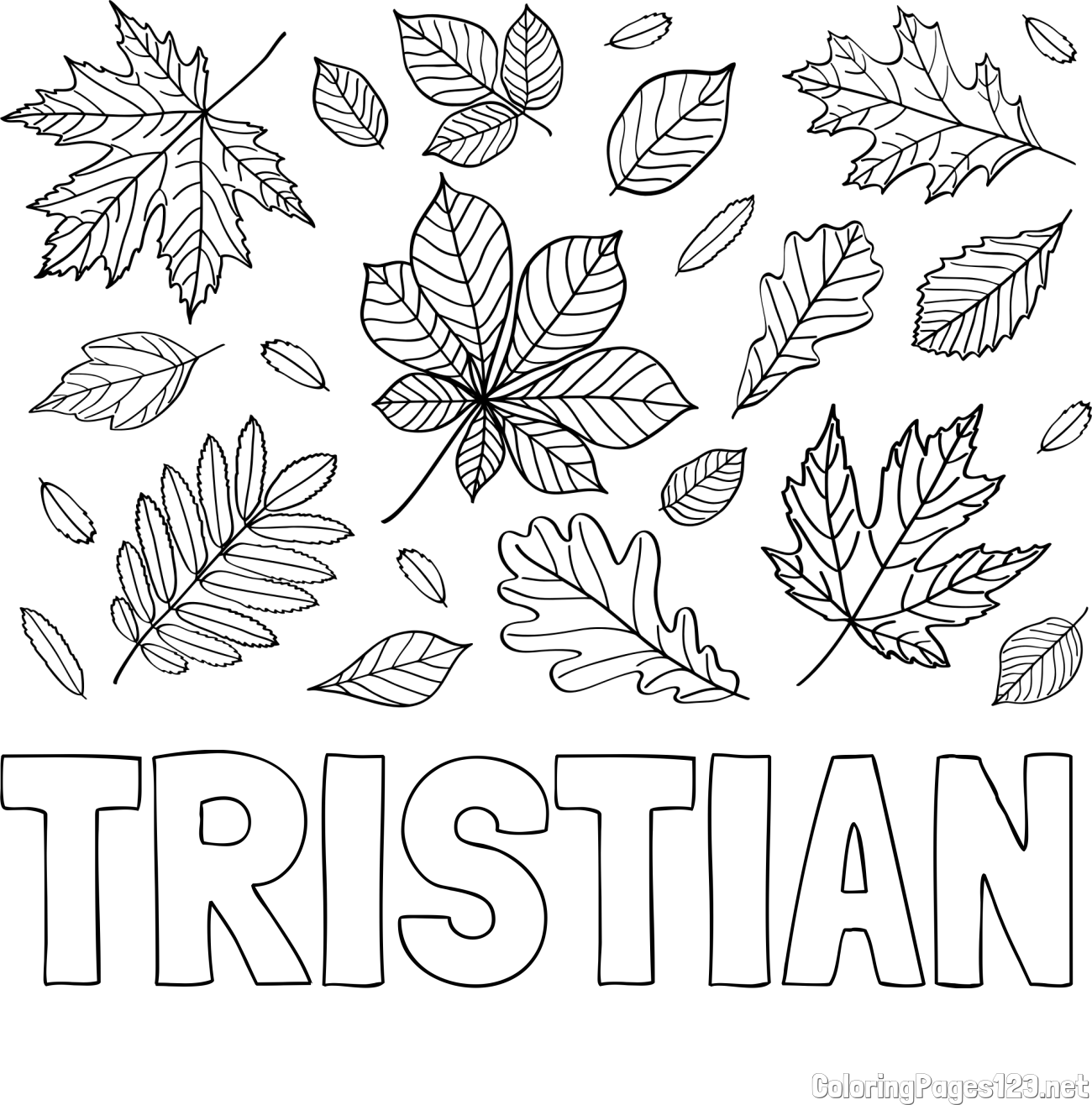 TRISTIAN Coloring Page and Autumn Leaves Coloring Page