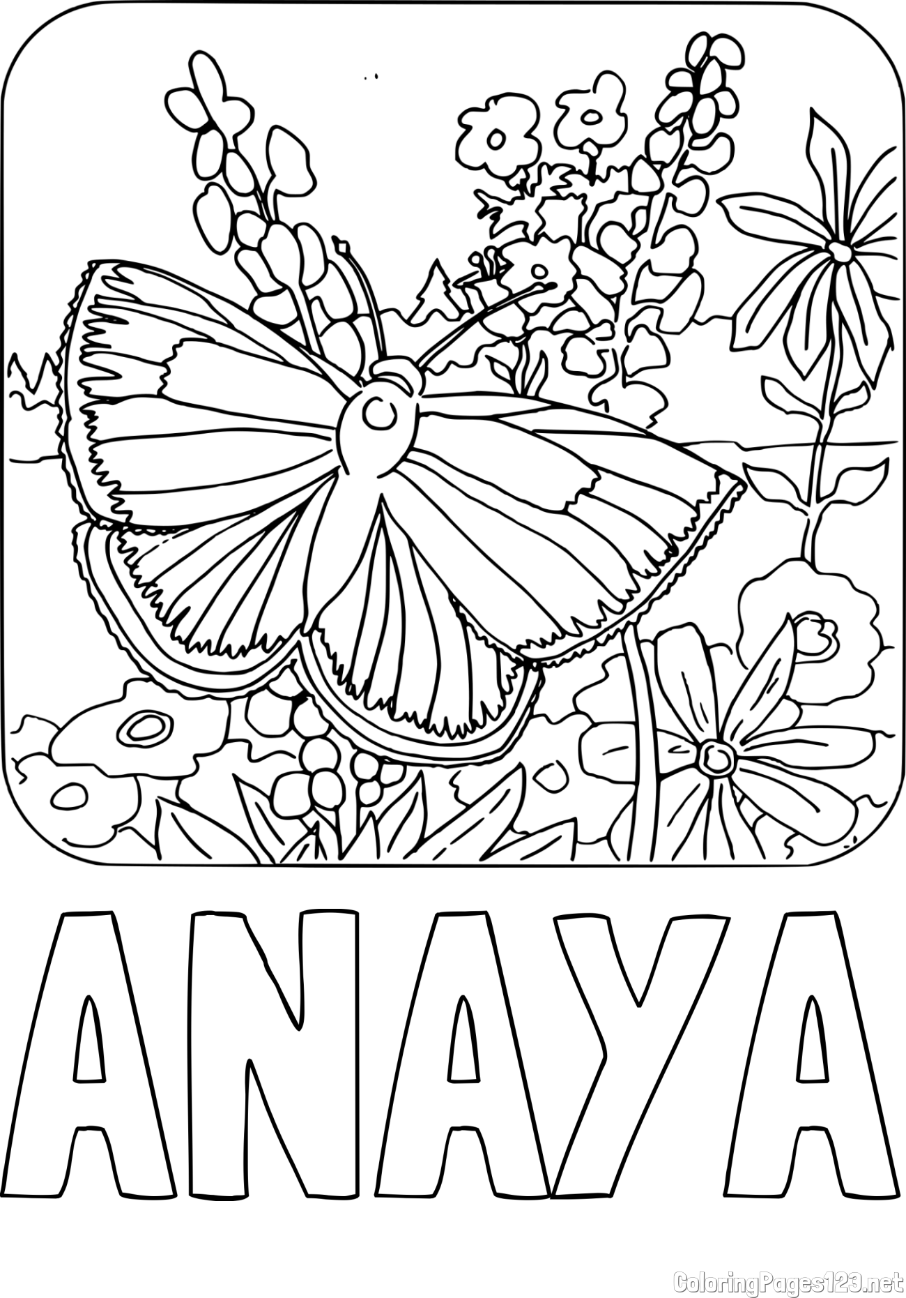 ANAYA Coloring Page and Butterfly on Flower Coloring Page