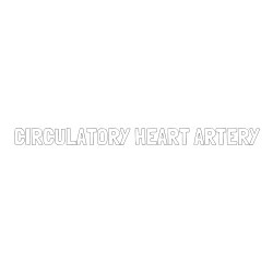 Online Created Coloring Page - CIRCULATORY HEART ARTERY Coloring Page