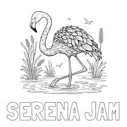 Online Created Coloring Page - SERENA JAM Coloring Page and Coloring Page of a Realistic Flamingo