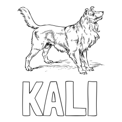 Online Created Coloring Page - KALI Coloring Page and Coloring Page of an Adorable Dog
