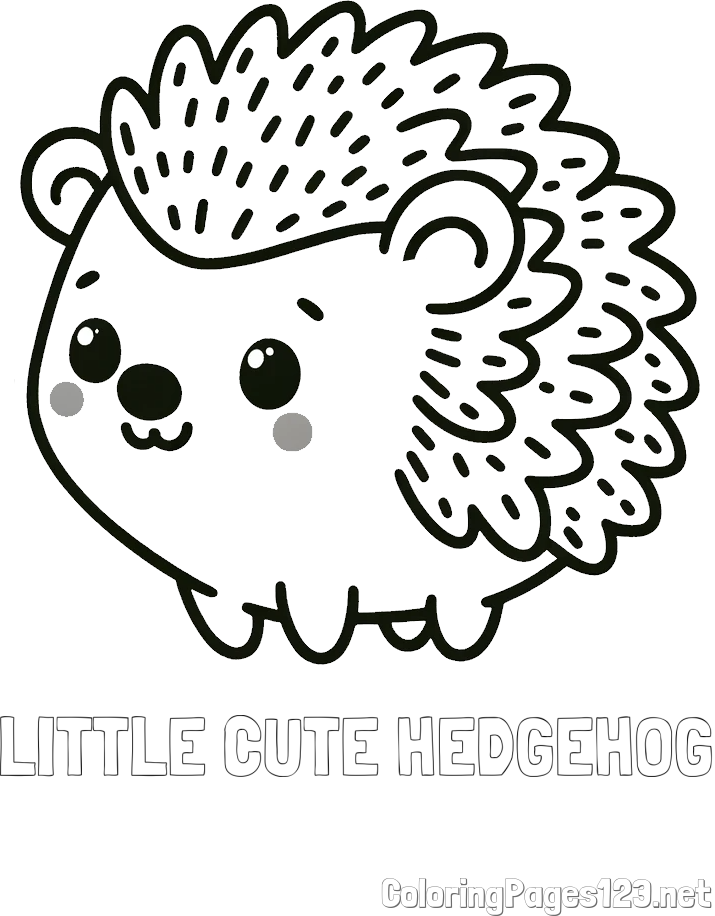 LITTLE CUTE HEDGEHOG Coloring Page and Easy Hedgehog Coloring Page for Kids