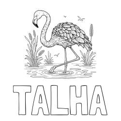 Online Created Coloring Page - TALHA Coloring Page and Coloring Page of a Realistic Flamingo