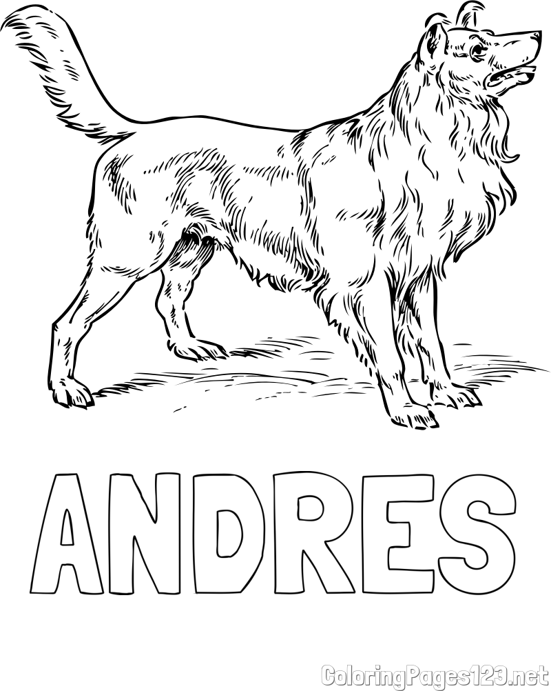 ANDRES Coloring Page and Coloring Page of an Adorable Dog