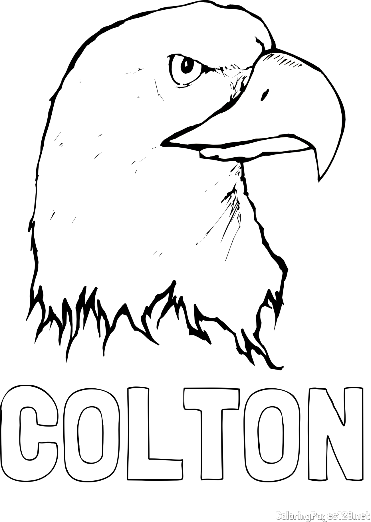 COLTON Coloring Page and American Bald Eagle Head Coloring Page