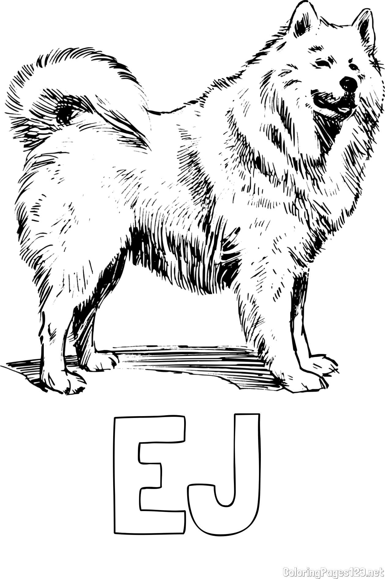 EJ Coloring Page and Coloring Page of a Beautiful Siberian Husky