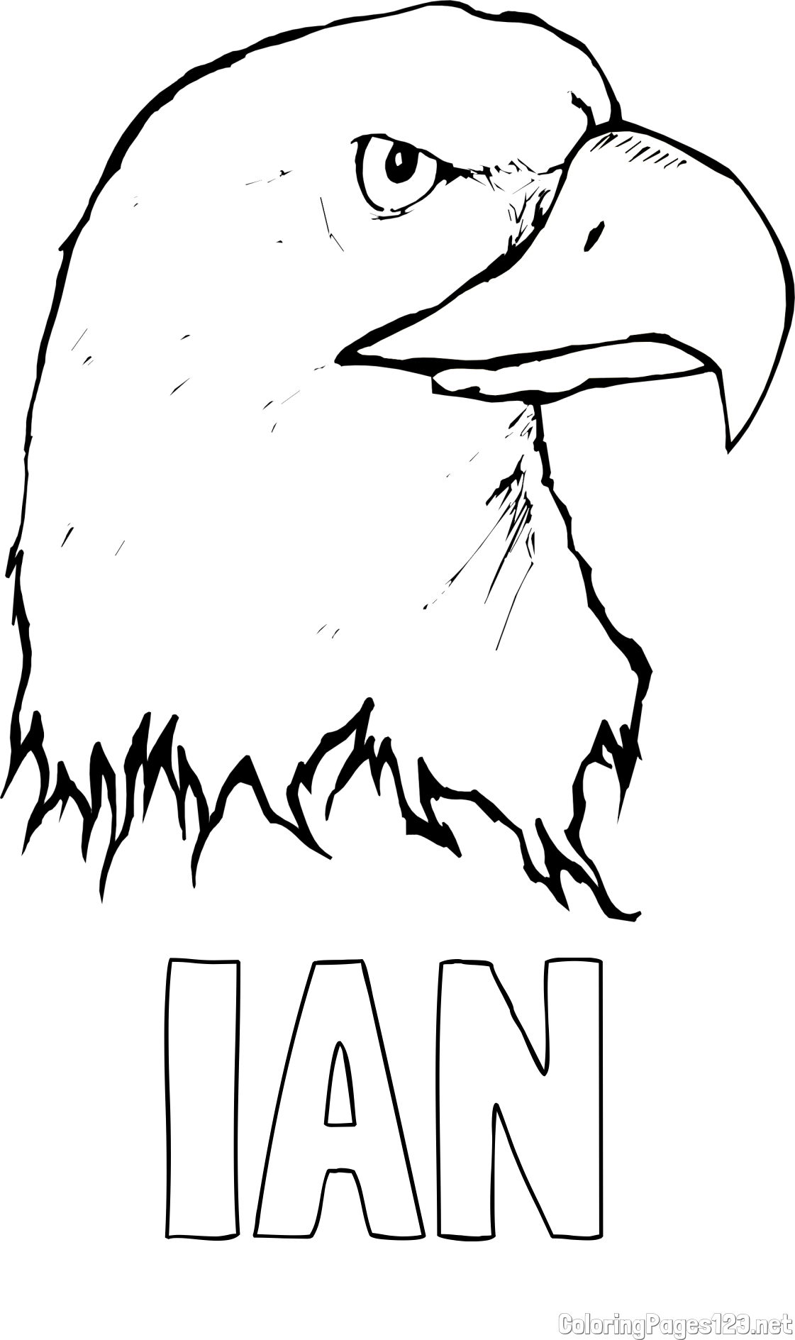 IAN Coloring Page and American Bald Eagle Head Coloring Page