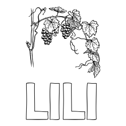 Online Created Coloring Page - LILI Coloring Page and Realistic Vineyard Coloring Page