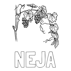 Online Created Coloring Page - NEJA Coloring Page and Realistic Vineyard Coloring Page