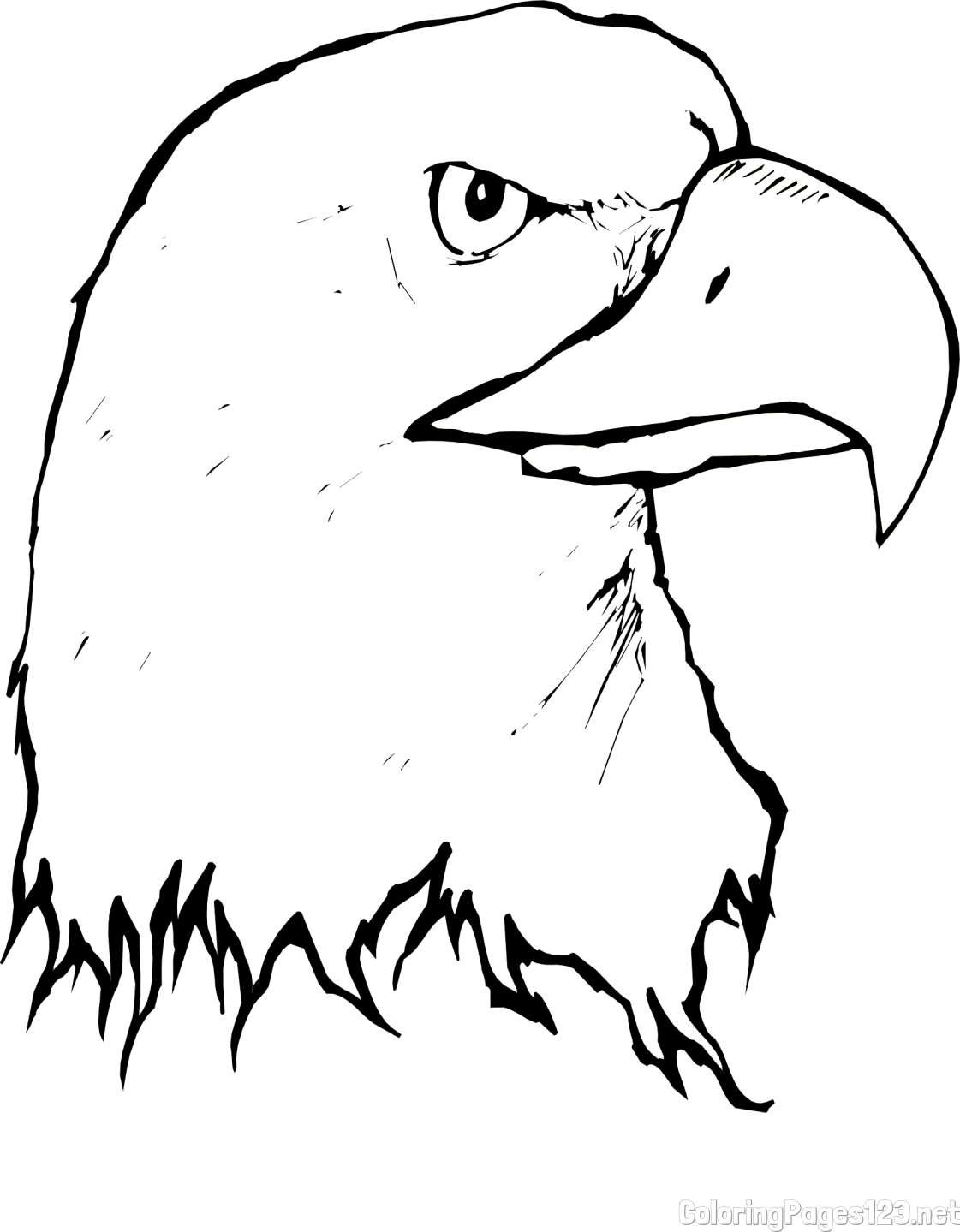 American Bald Eagle Head Coloring Page