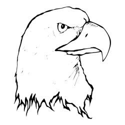 American Bald Eagle Head Coloring Page