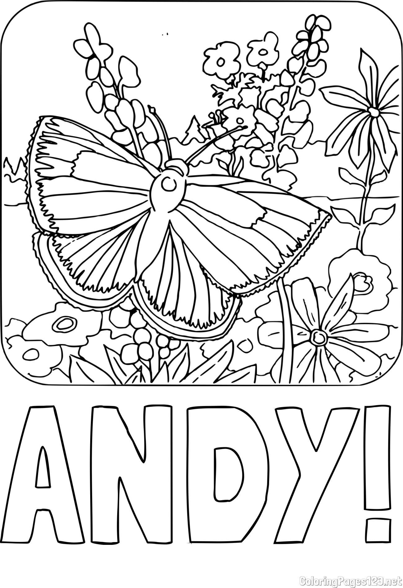 ANDY! Coloring Page and Butterfly on Flower Coloring Page