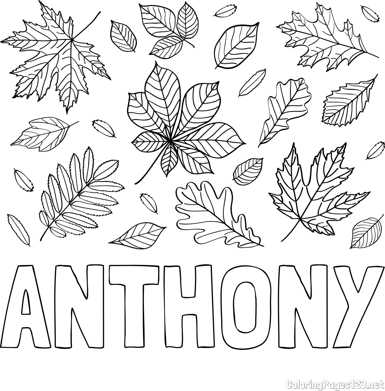 ANTHONY Coloring Page and Autumn Leaves Coloring Page