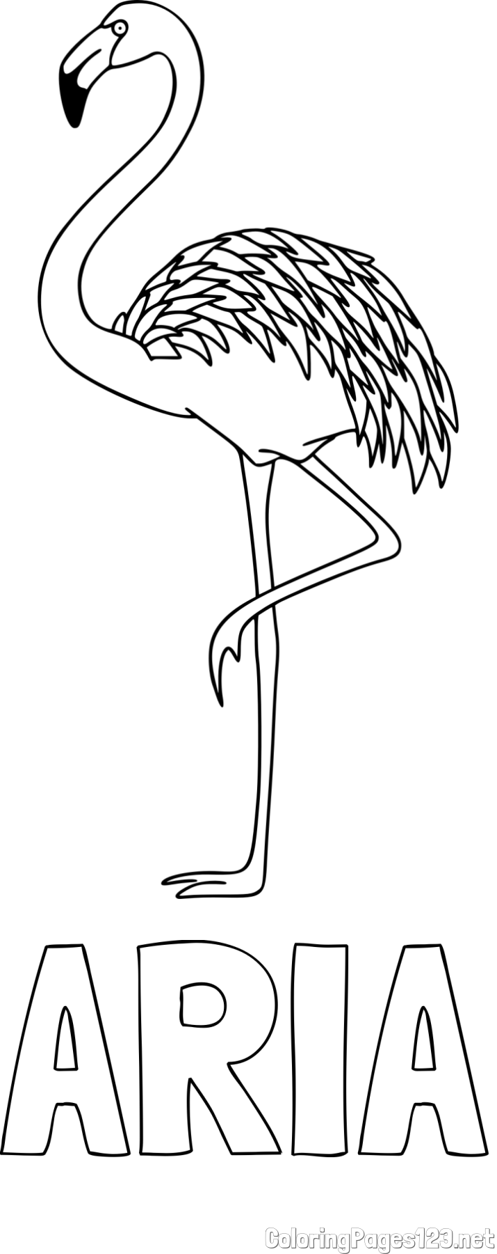 ARIA Coloring Page and Coloring Page of a Flamingo