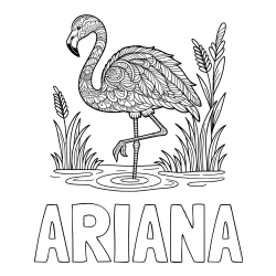 Online Created Coloring Page - ARIANA Coloring Page alongside Coloring Page of an Artistically Depicted Flamingo