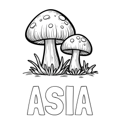 Online Created Coloring Page - ASIA Coloring Page and Coloring Page of Two Cute Mushrooms
