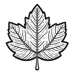 Autumn Leaf Coloring Page