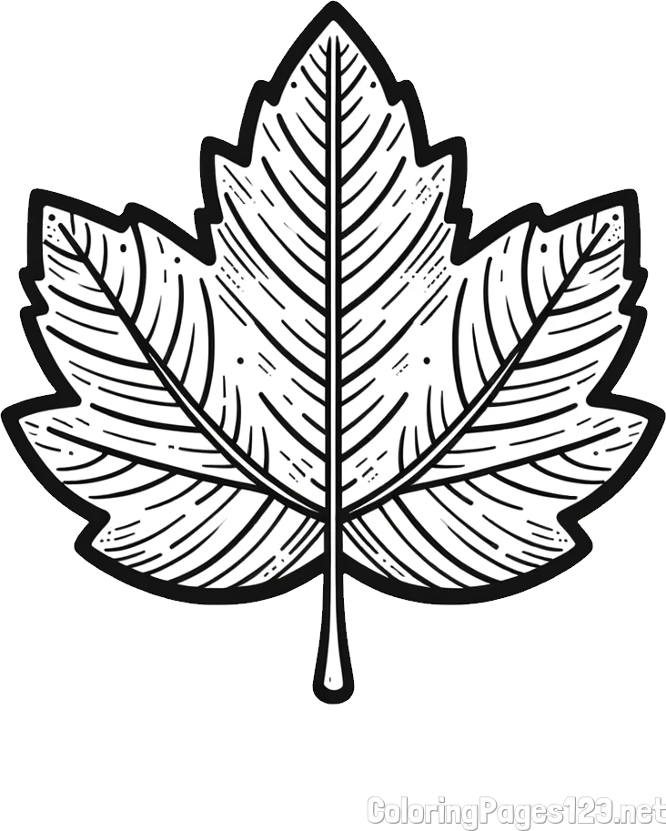 Autumn Leaf Coloring Page