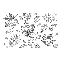 Autumn Leaves Coloring Page