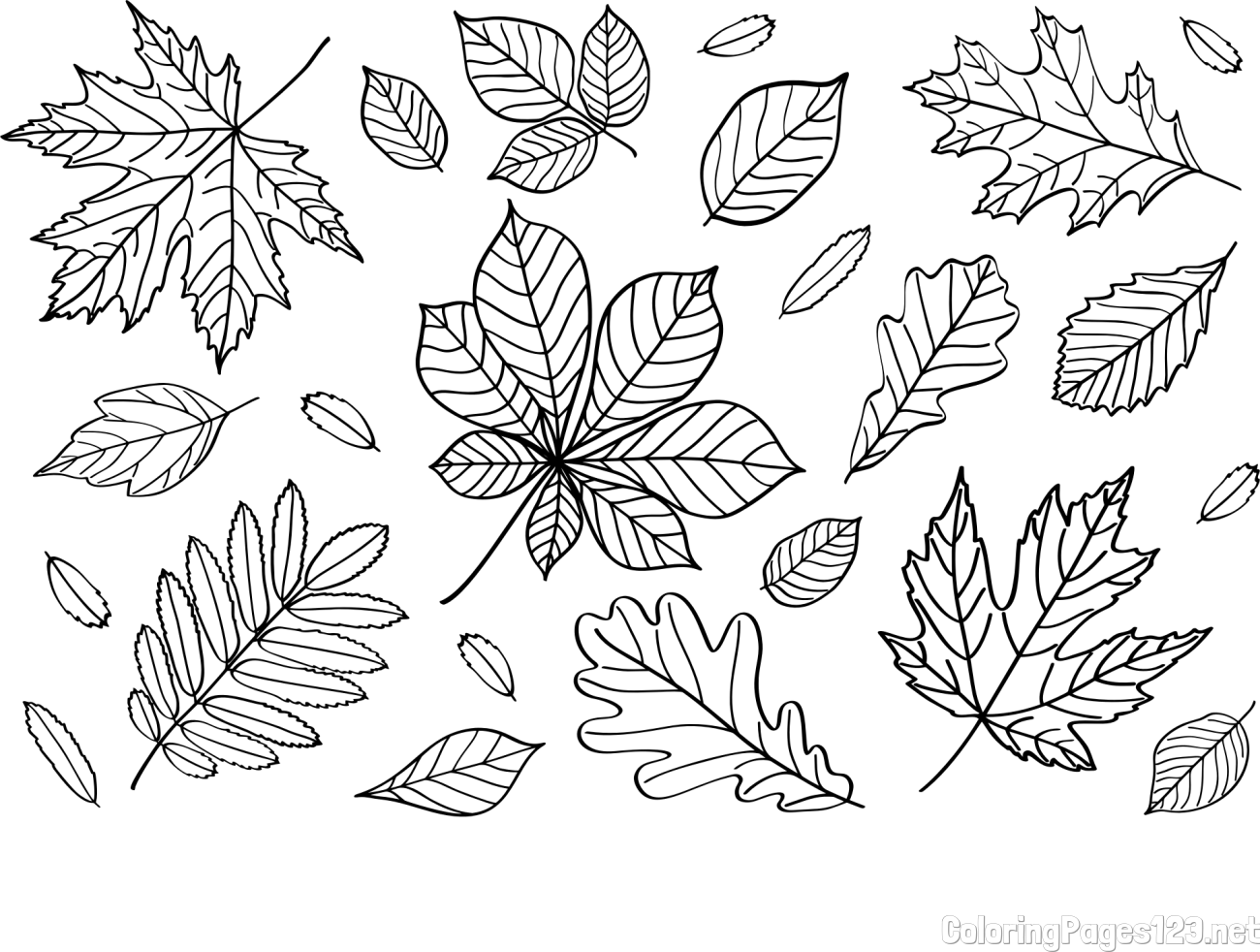Autumn Leaves Coloring Page