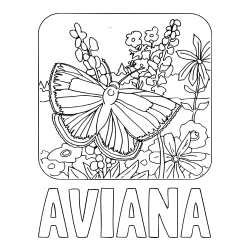 Online Created Coloring Page - AVIANA Coloring Page and Butterfly on Flower Coloring Page