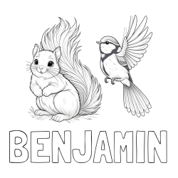 Online Created Coloring Page - BENJAMIN Coloring Page and Coloring Page of a Squirrel and a Bird
