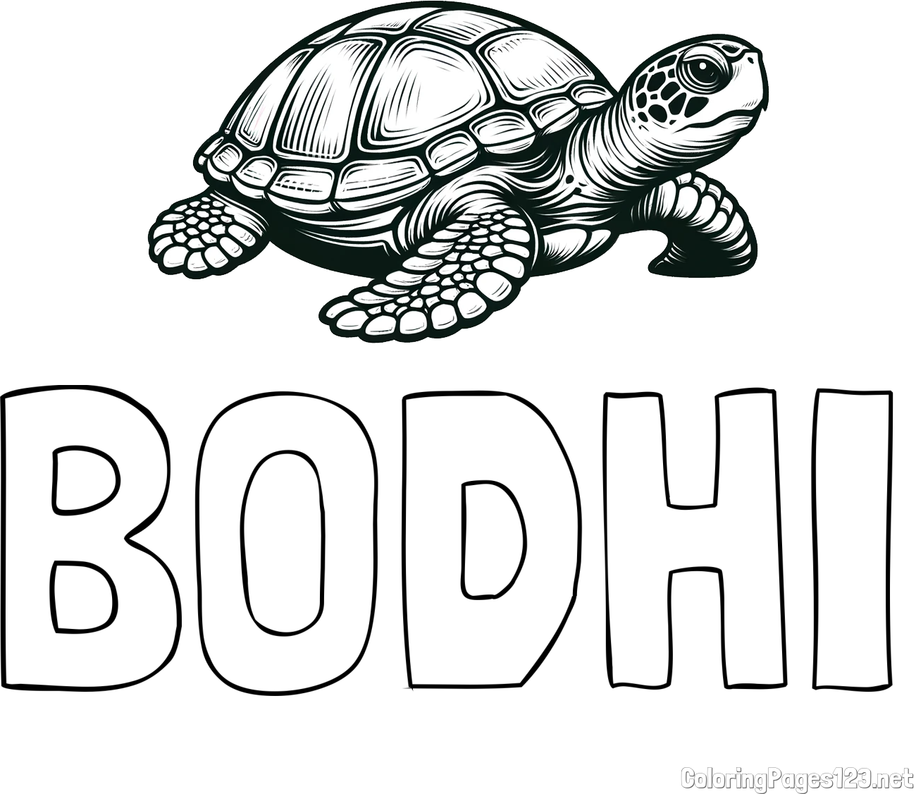 BODHI Coloring Page and Coloring Page of a Realistic Turtle