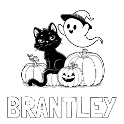 Online Created Coloring Page - BRANTLEY Coloring Page and Halloween Pumpkin Coloring Page for Kids - Happy Cat, Ghost, and Pumpkins