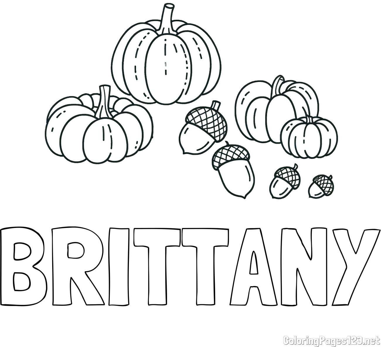 BRITTANY Coloring Page and Autumn Harvest Coloring Page - Acorns and Pumpkins