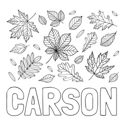 Online Created Coloring Page - CARSON Coloring Page and Autumn Leaves Coloring Page