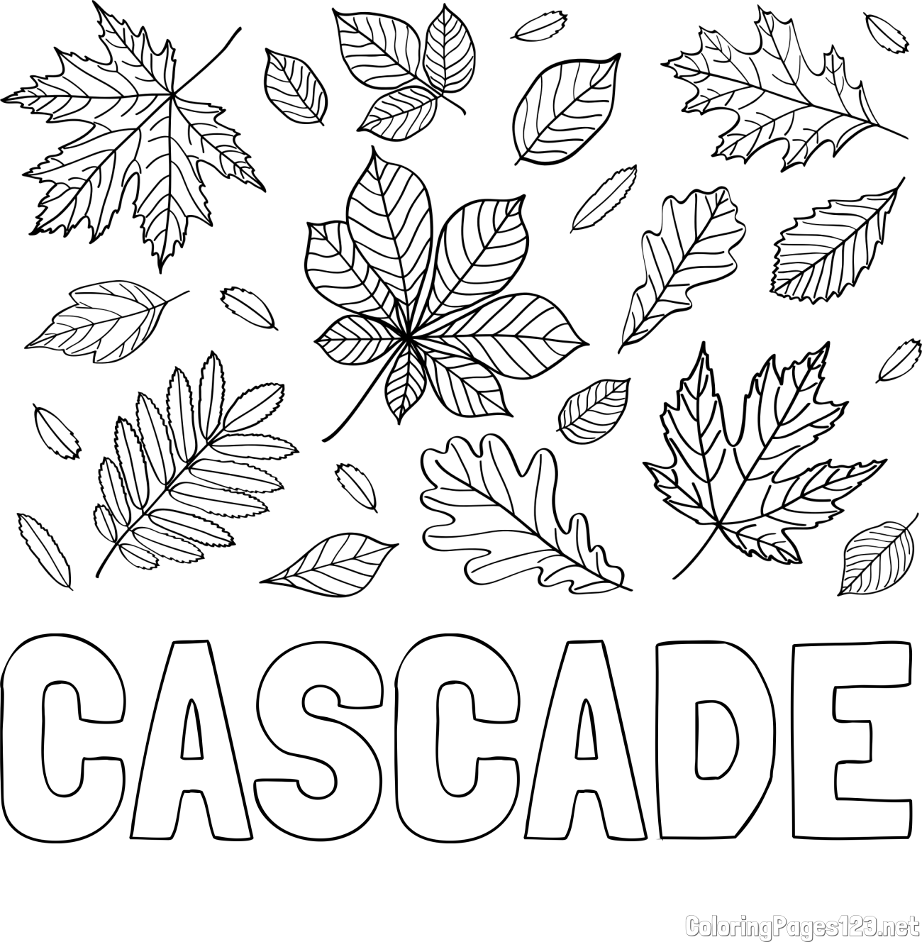 CASCADE Coloring Page and Autumn Leaves Coloring Page