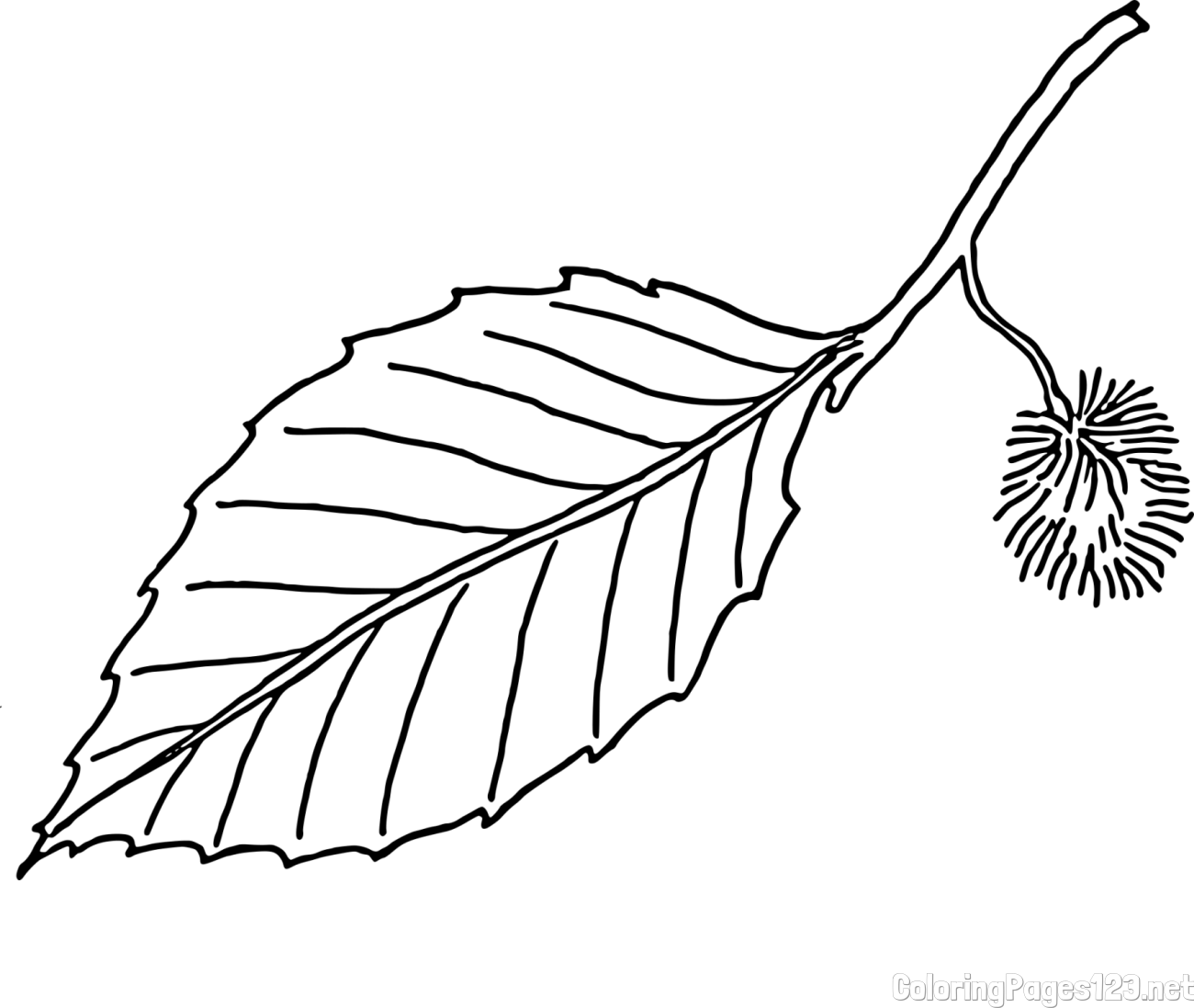 Chestnut on a Leaf Coloring Page