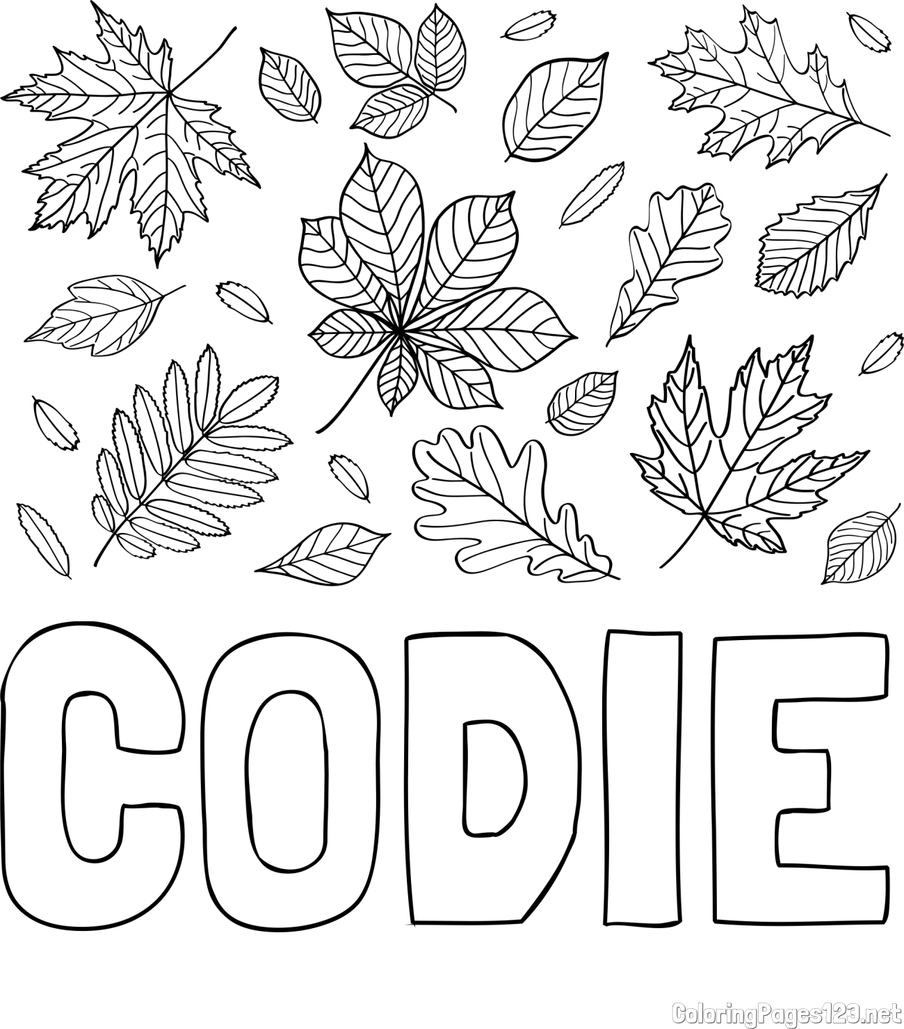 CODIE Coloring Page and Autumn Leaves Coloring Page