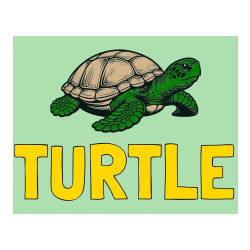 Pobarvana pobarvanka - TURTLE Coloring Page and Coloring Page of a Realistic Turtle