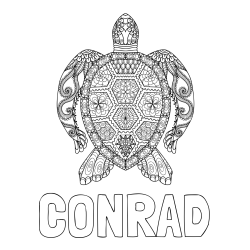 Online Created Coloring Page - CONRAD Coloring Page and Sea Turtle Mandala Coloring Page