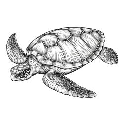 Cute Realistic Sea Turtle Coloring Page