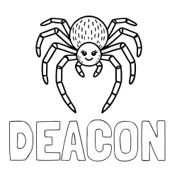 Online Created Coloring Page - DEACON Coloring Page and Spider Coloring Page for Kid