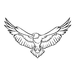 Eagle on the Prowl Coloring Page