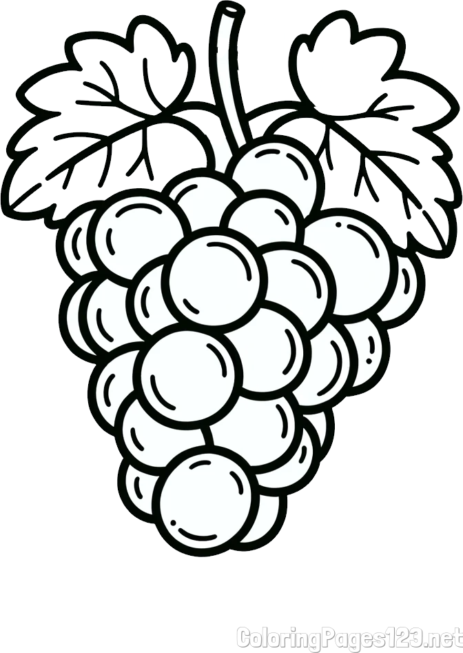 Easy Grape Coloring Page