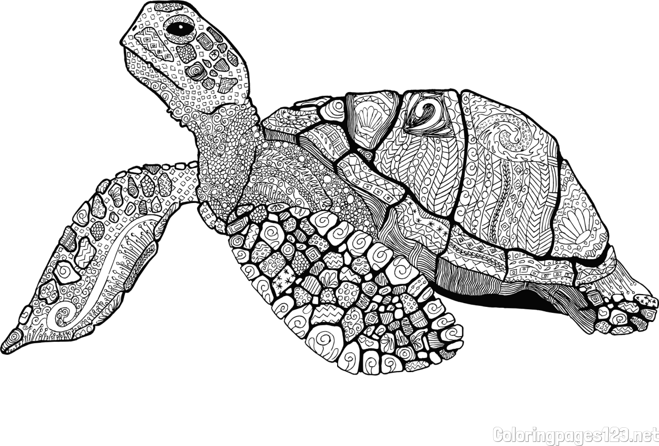 Turtle Mandala Coloring Page