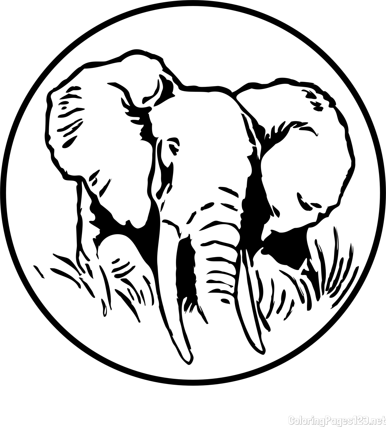 Elephant Head in Circle Coloring Page