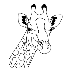 Beautiful Coloring Page of a Giraffe's Head