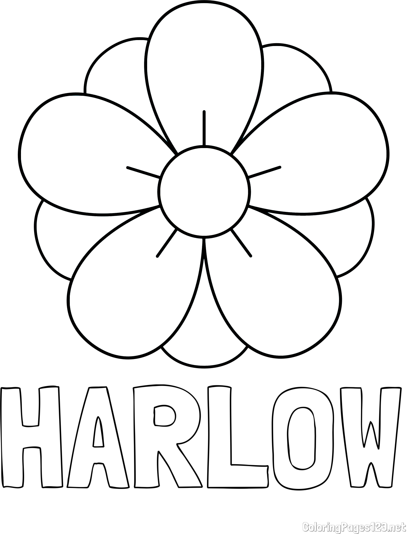 HARLOW Coloring Page alongside Flower Without Stem Coloring Page