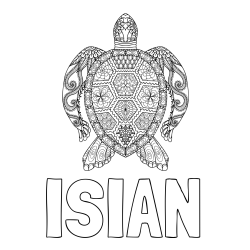Online Created Coloring Page - ISIAN Coloring Page and Sea Turtle Mandala Coloring Page
