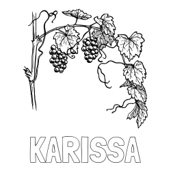 Online Created Coloring Page - KARISSA Coloring Page and Realistic Vineyard Coloring Page