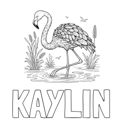 Online Created Coloring Page - KAYLIN Coloring Page and Coloring Page of a Realistic Flamingo