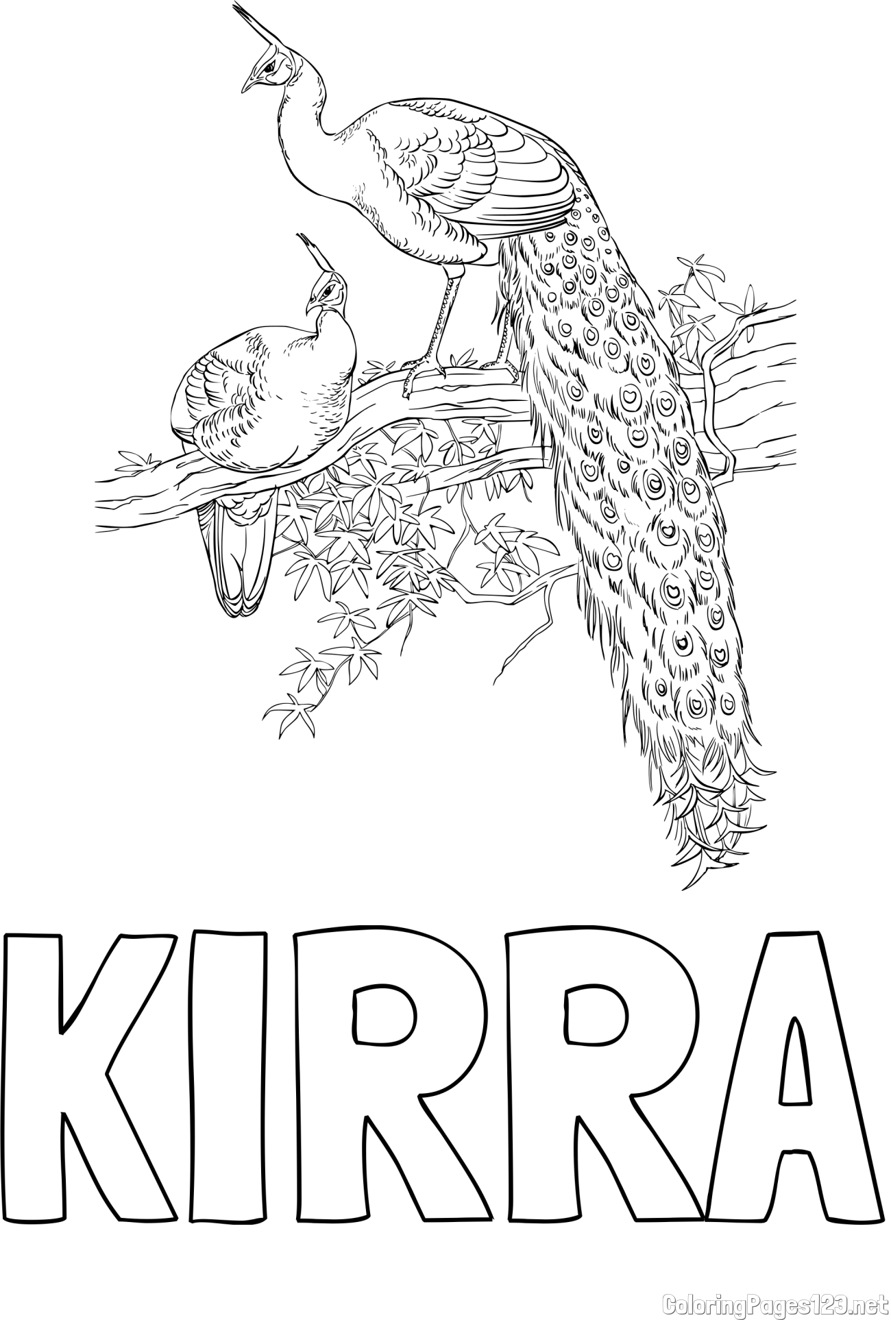 KIRRA Coloring Page and Two Peacocks on a Branch Coloring Page